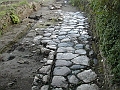 AppiaAntica (1)